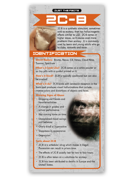Just the Facts Rack Card: 2C-B