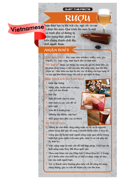 *VIETNAMESE* Just the Facts Rack Card: Alcohol