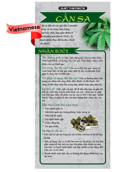 *VIETNAMESE* Just the Facts Rack Card: Marijuana