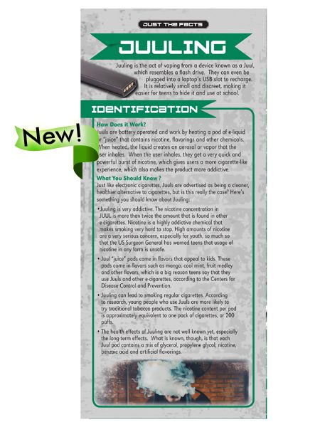 Just the Facts Rack Card: Juuling
